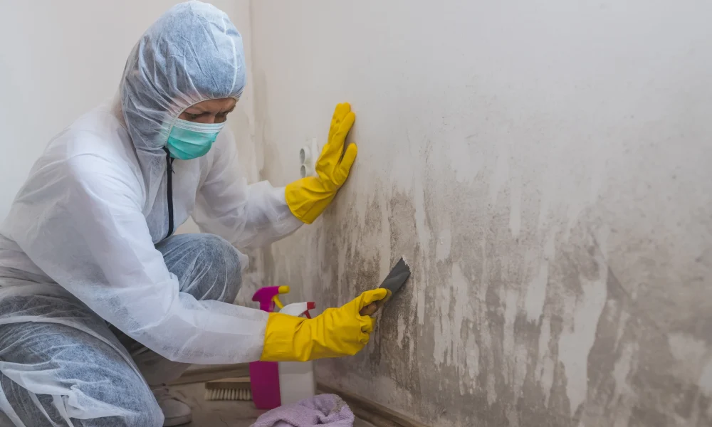 Mold-Restoration