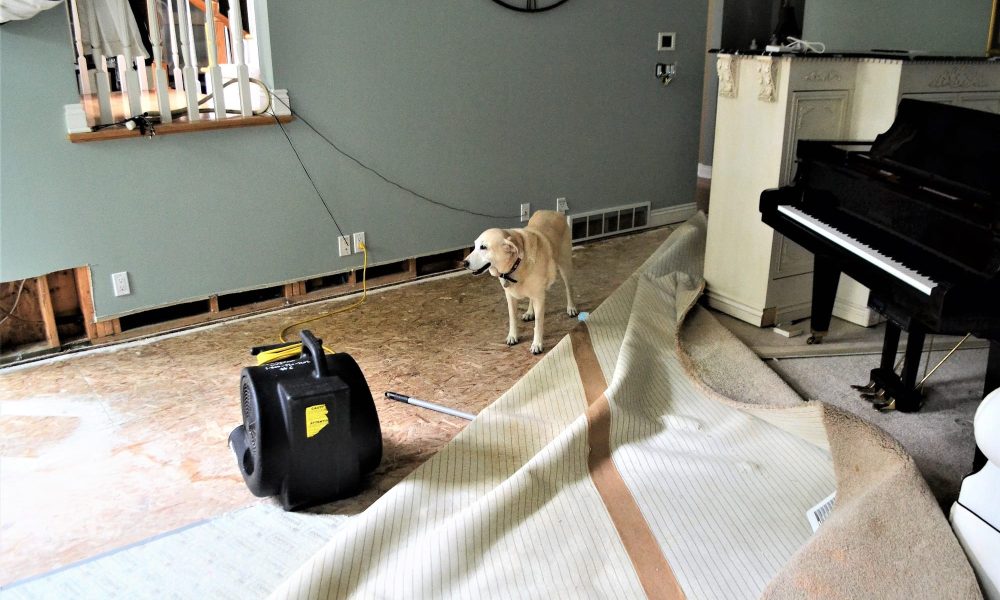 Home water damage